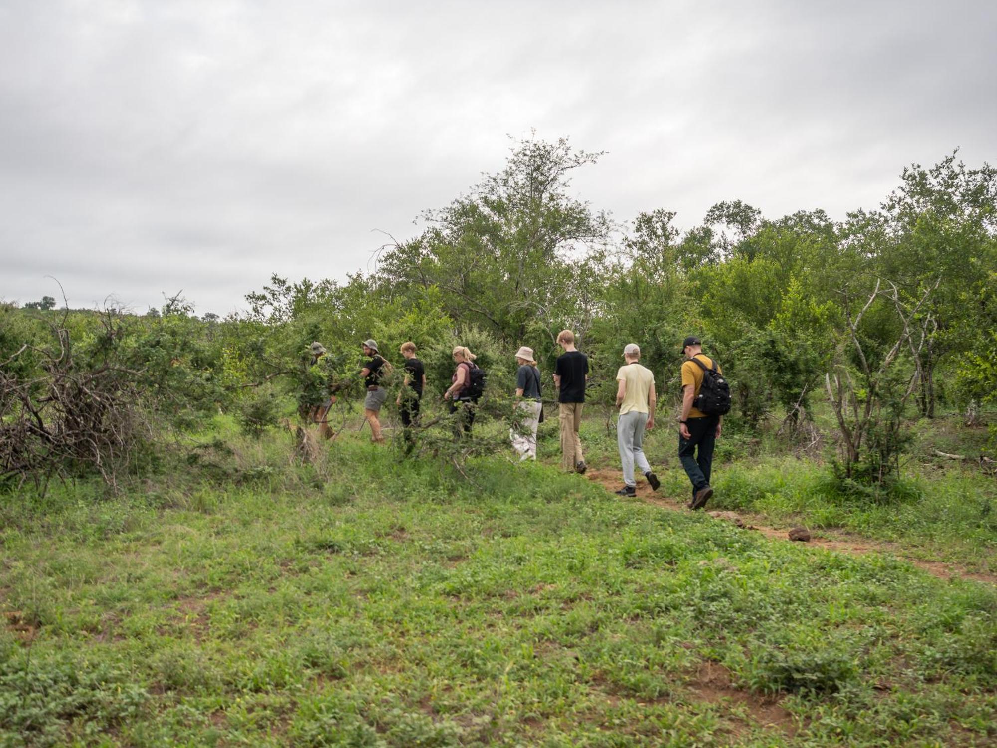 Nyati Safari Lodge Hoedspruit Dış mekan fotoğraf