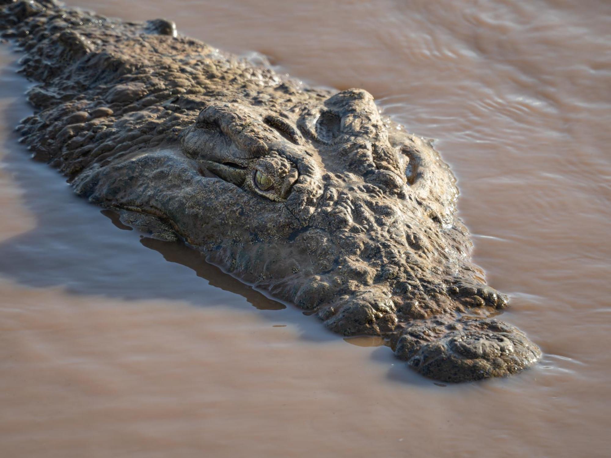 Nyati Safari Lodge Hoedspruit Dış mekan fotoğraf